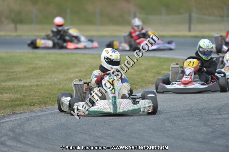DSC_0955 (2).JPG
